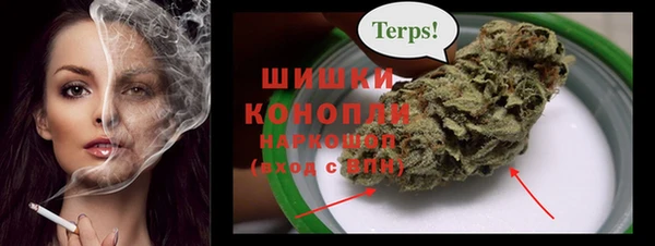 спиды Медногорск