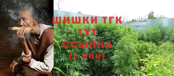 спиды Медногорск
