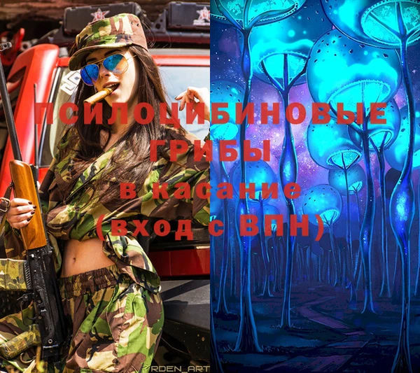 гидропоника Мегион