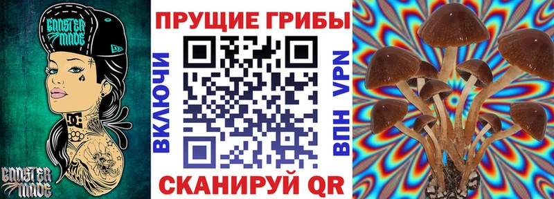 Псилоцибиновые грибы мухоморы  где купить   Певек 